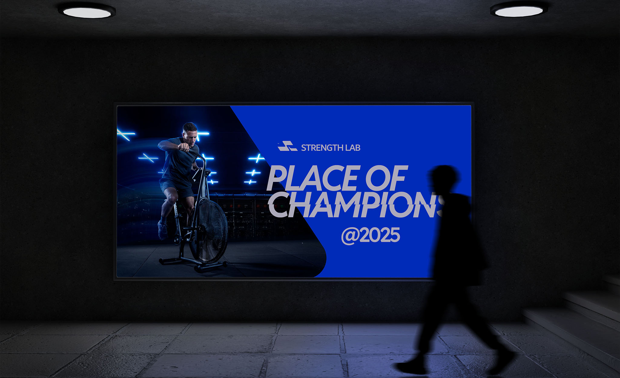 Branding work showcase
